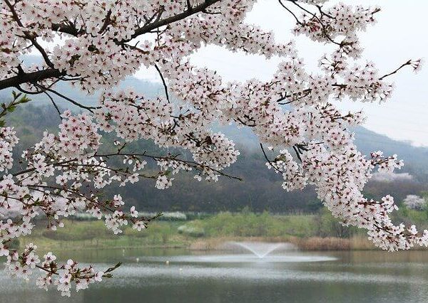 Fifth Silver Jubilee Lecture – Wednesday 24 November